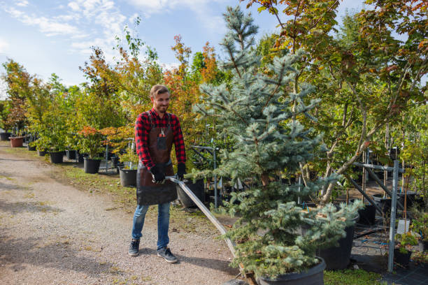 Best Firewood Processing and Delivery  in Footville, WI