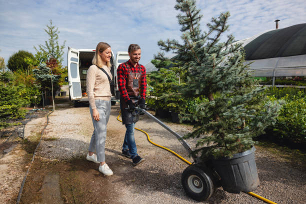 Best Artificial Turf Installation  in Footville, WI